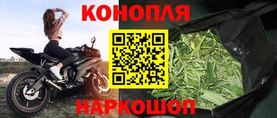 spice Камышлов