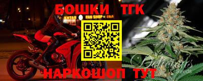 spice Камышлов