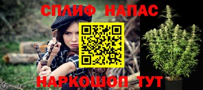 spice Камышлов