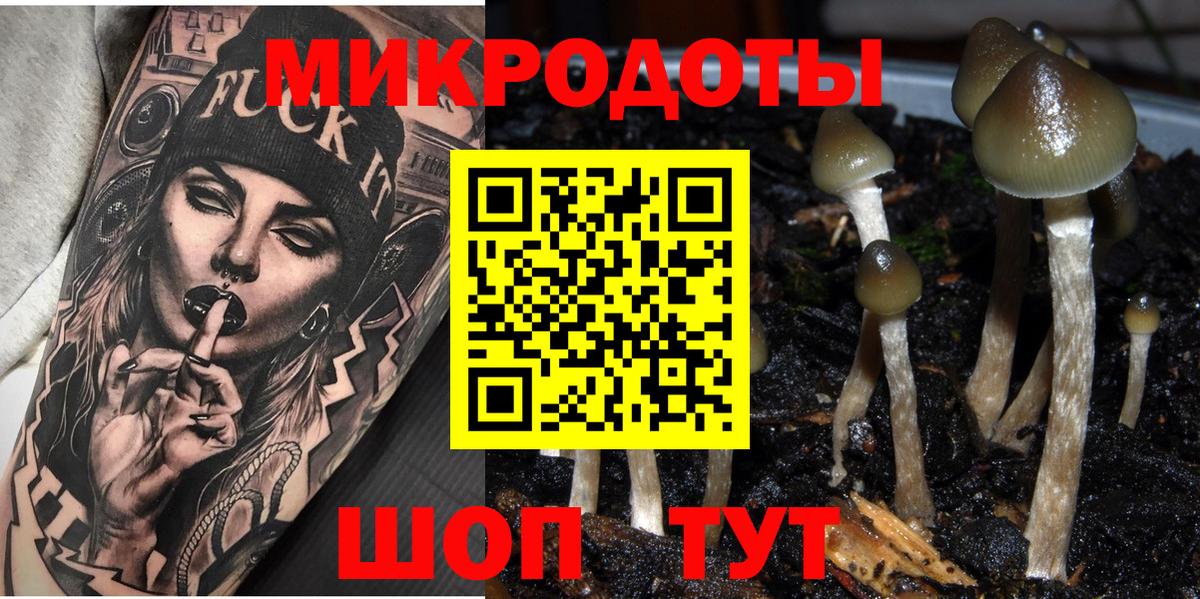 Псилоцибиновые грибы Cubensis  Вход с VPN  Глазов 