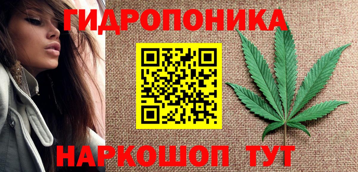 Бошки марихуана THC 21% Глазов